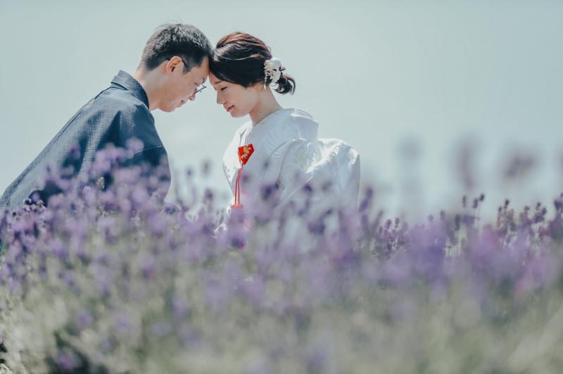 ラベンダーに囲まれドラマチックに