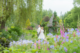 雨の中の上野ファーム