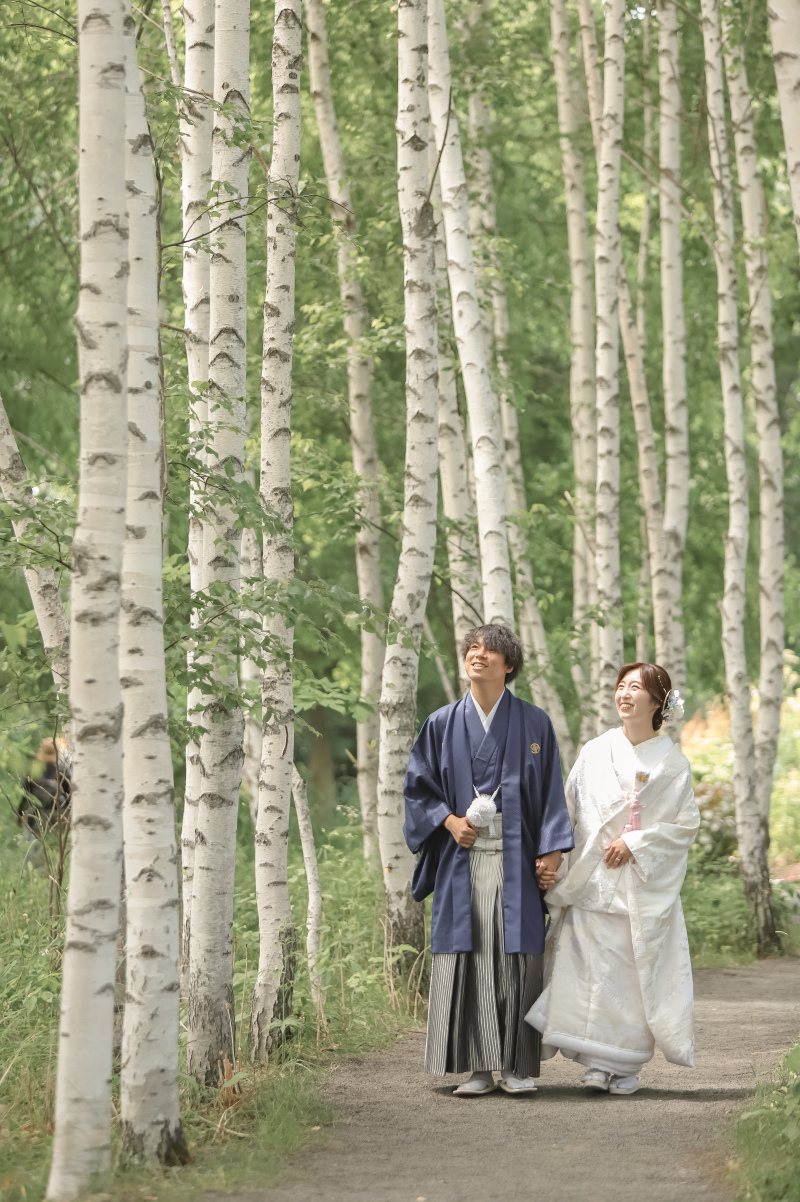 北海道らしさの白樺並木