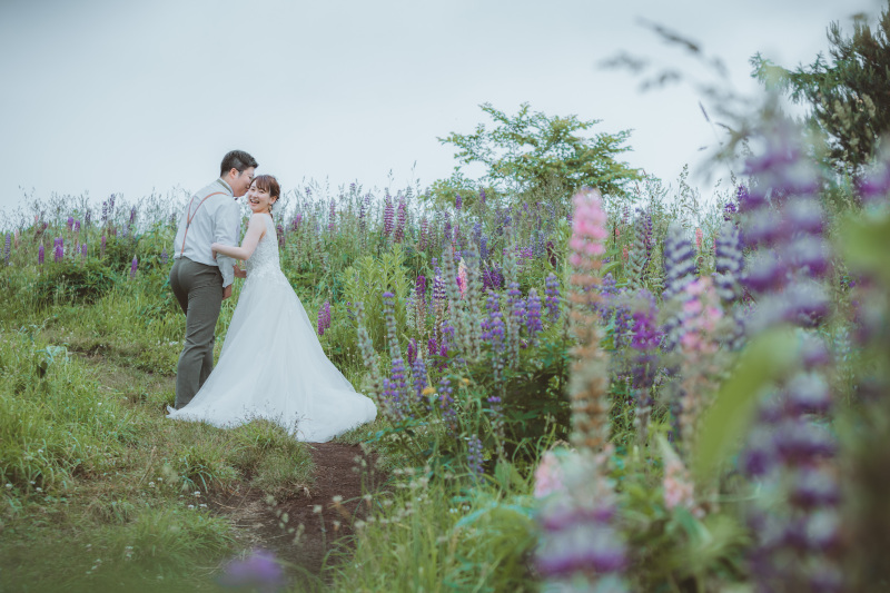 ルピナスに囲まれて•••