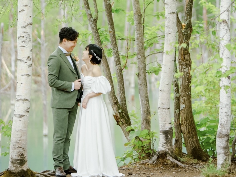 北海道ならではの白樺の木