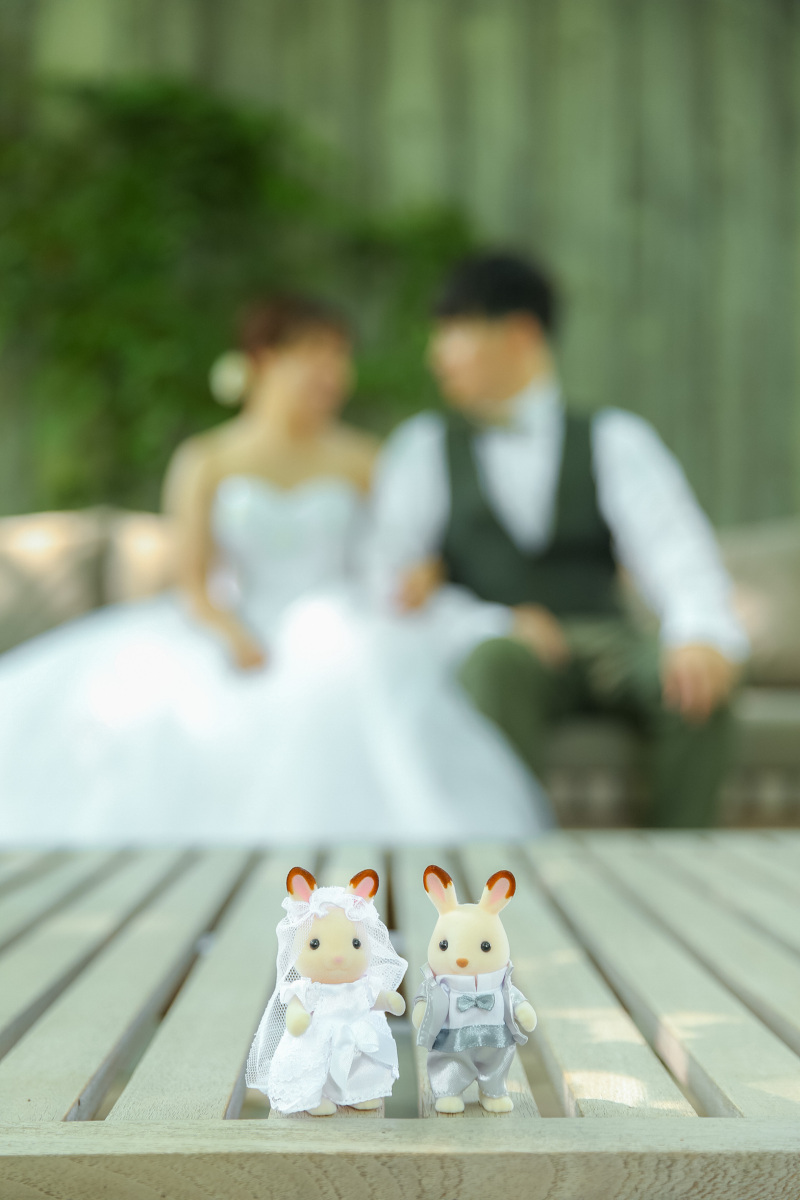 シルバニアファミリーと！