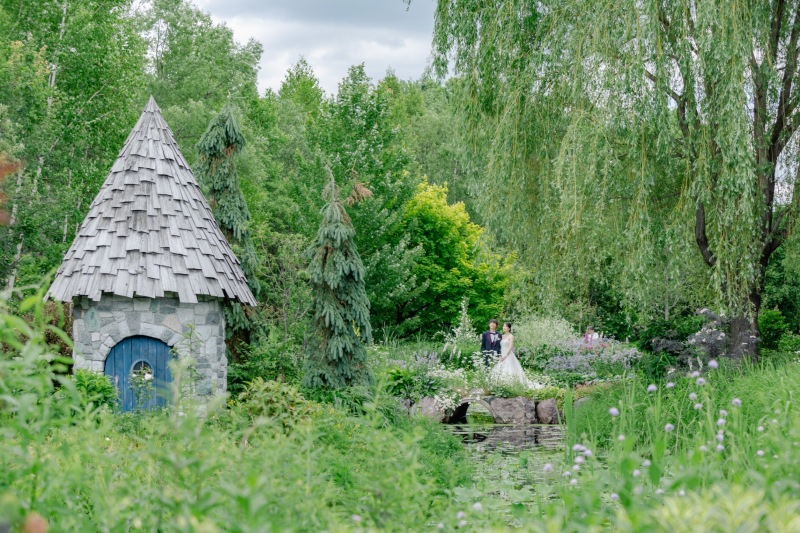 素朴な美しさを持つ野草やグラスが華やかな庭園