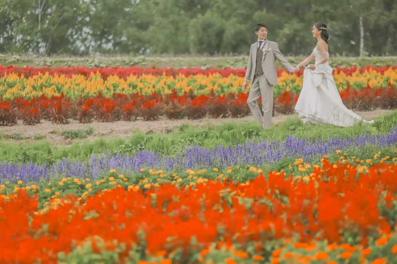 お花に囲まれながらお散歩