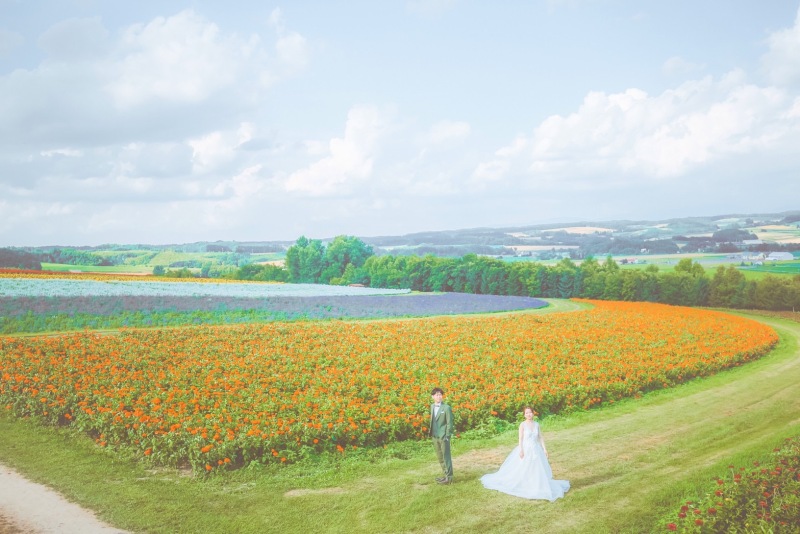 四季折々の花々