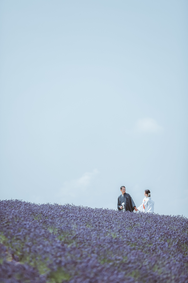 ラベンダーの中で散歩
