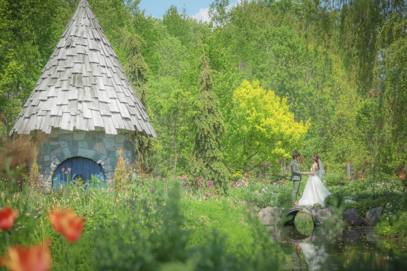 北海道ガーデン街道　『上野ファーム』