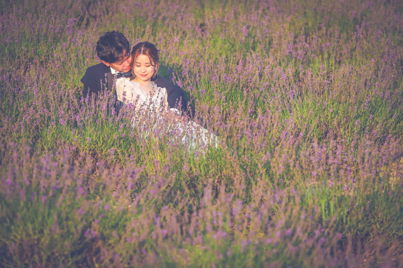 ラベンダーに包まれて