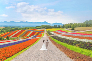 Palette旭川店(写真工房ぱれっと)