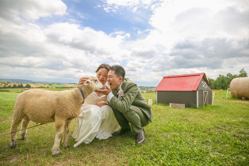 Palette旭川店(写真工房ぱれっと)_ペットと一緒に撮影できる