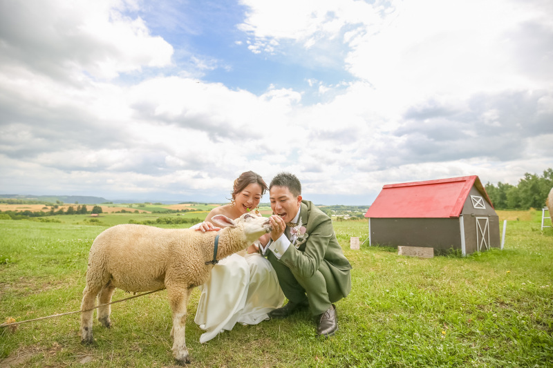 Palette旭川店(写真工房ぱれっと)_ペットと一緒に撮影できる