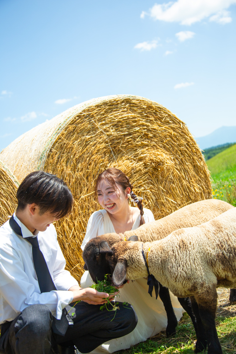 羊と一緒に撮れるロケスポット