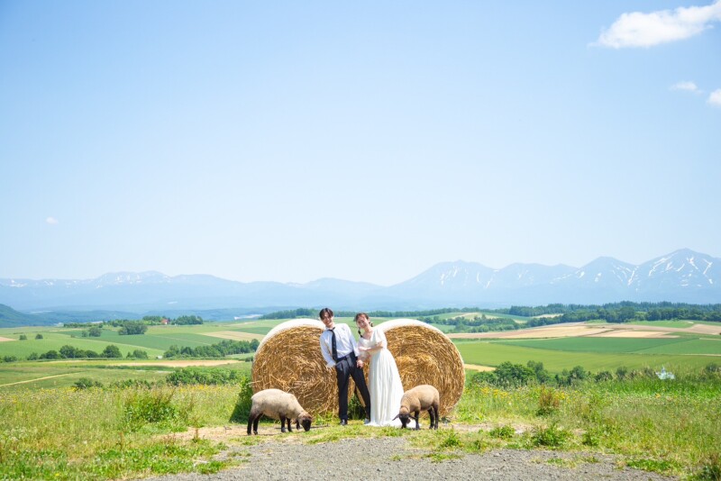 【富良野・美瑛】ロケ地３箇所セレクト！ ロケーション１dayプラン【初回ご契約で15%OFF】