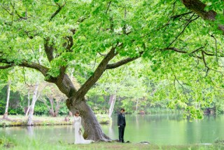 【富良野・鳥沼公園】長距離ロケーションプラン②【初回ご契約で50%OFF】