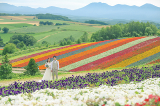 【富良野・美瑛】ロケ地３箇所セレクト！ 北海道まるごと１dayプラン【初回ご契約で15%OFF】