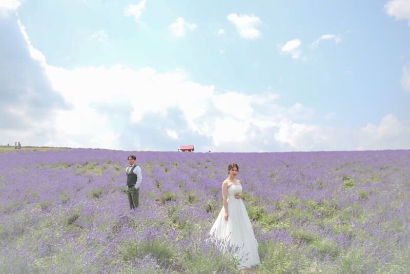 【富良野・美瑛】ロケ地３箇所セレクト！ ロケーション１dayプラン【初回ご契約で15%OFF】