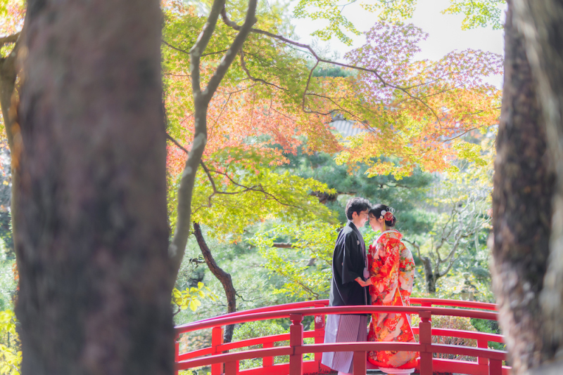 紅葉がおりてくる赤い橋の下で。うっとりする一枚。