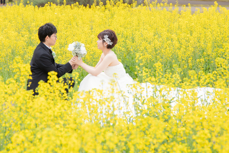 菜の花の花言葉とは？