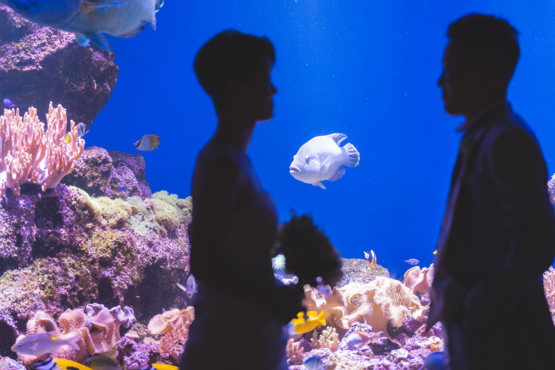 水族館ならではなショット...♡