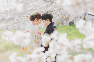 【和装】桜　ロケーション撮影