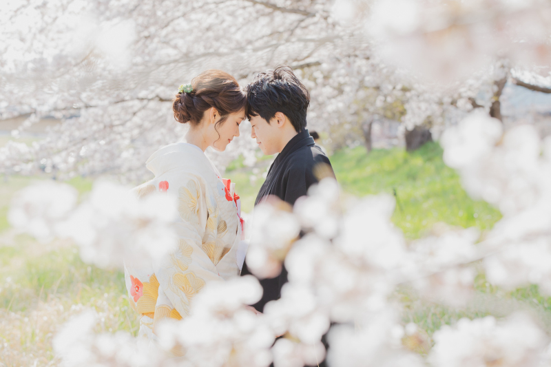 【和装】桜　ロケーション撮影