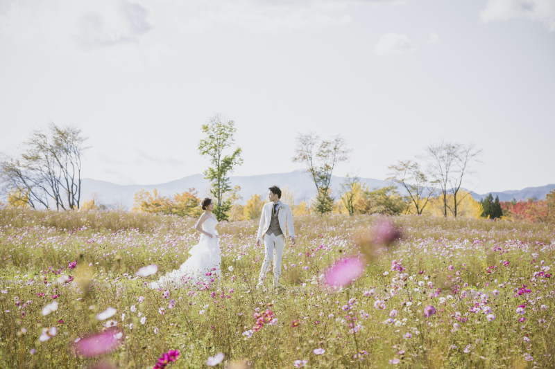 お花畑の中をお散歩