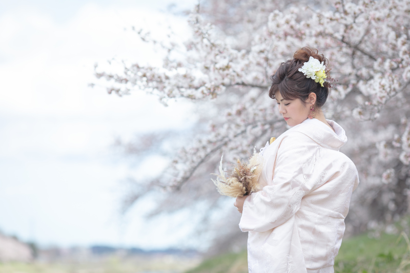白無垢と桜