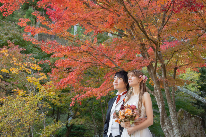 色鮮やかな景色