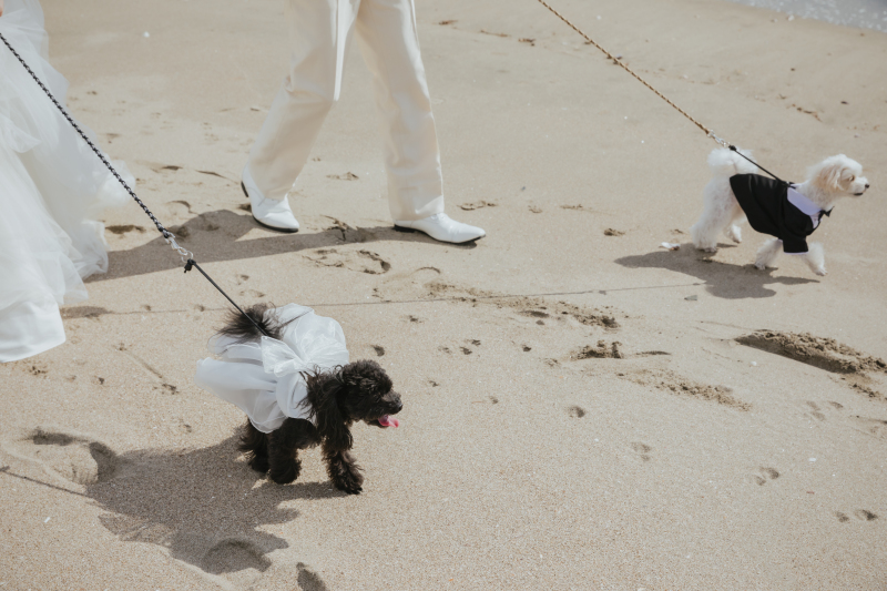 もはや主役級！とってもかわいい衣装でおめかし♡