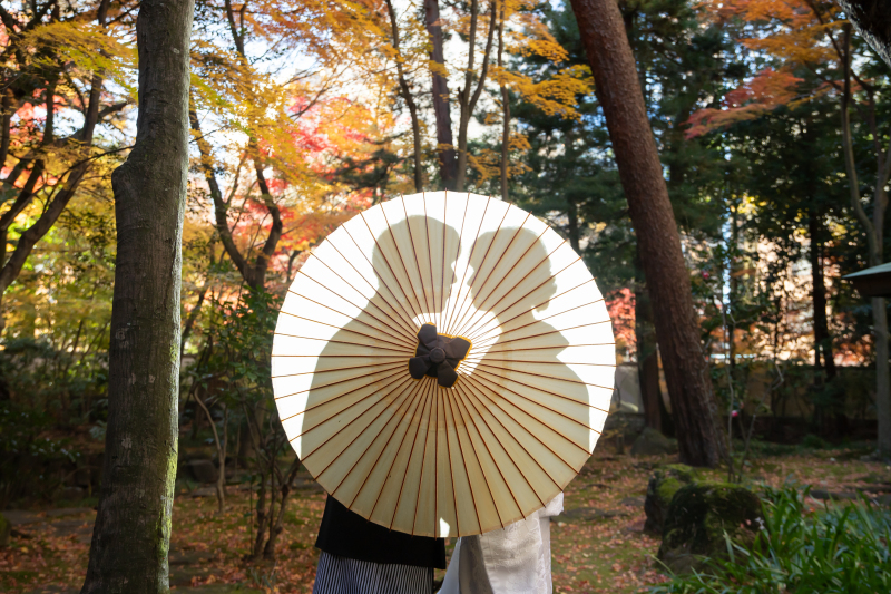 シルエット撮影