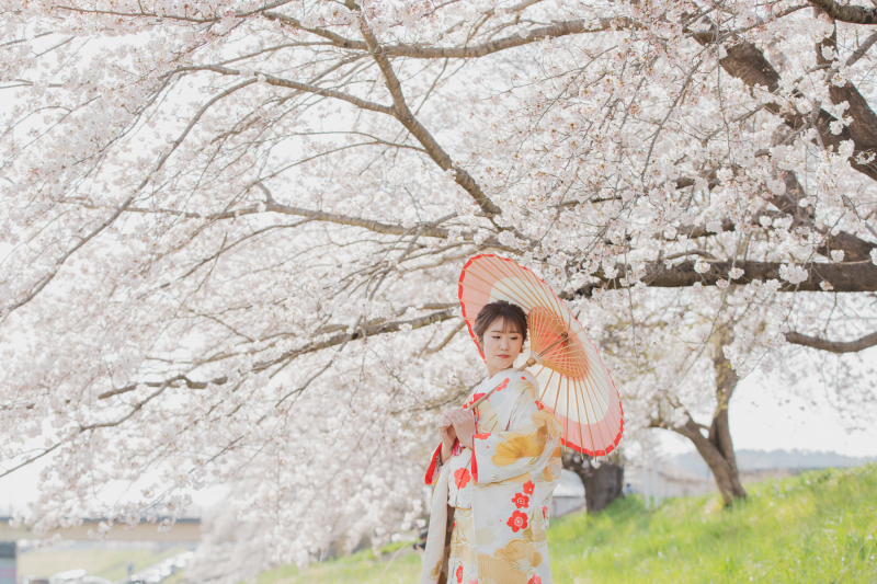 桜満開！のご新婦さまソロショット！