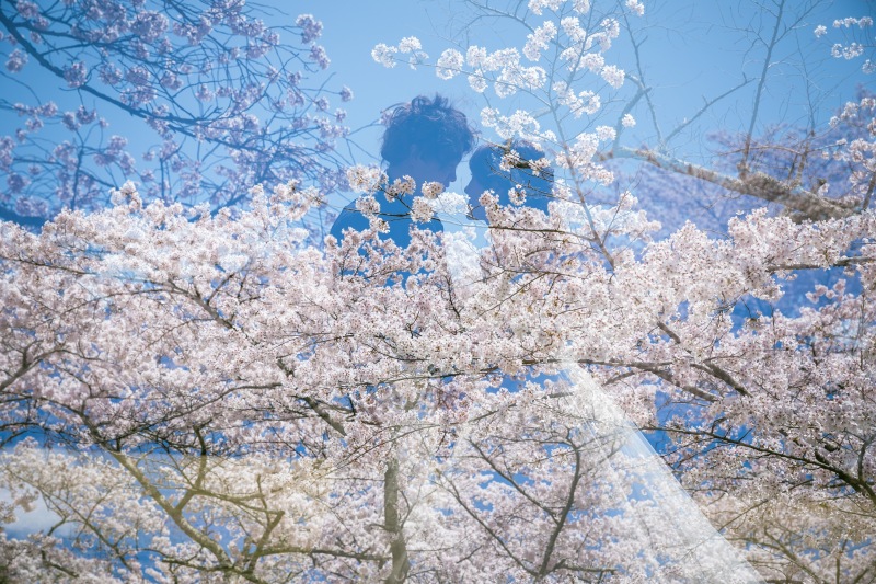 カメラマンによる多重露光