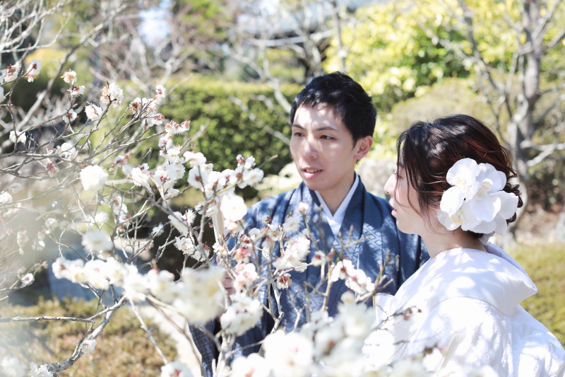 綺麗な髪飾りと木漏れ日と