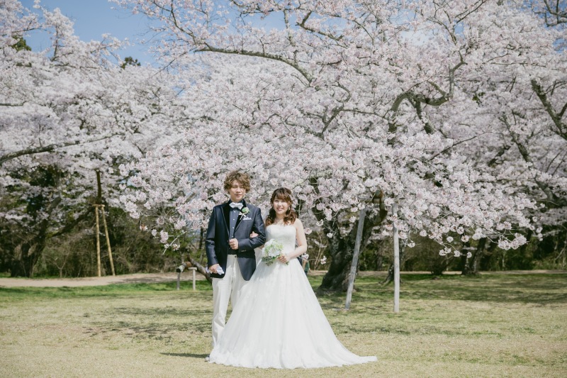 オーソドックスな一枚