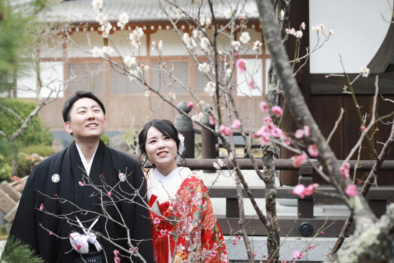 かわいい梅を眺めて