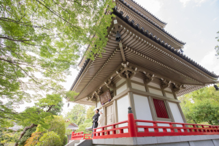 日本庭園&times;和装　四季を感じながらフォトウェディング♪