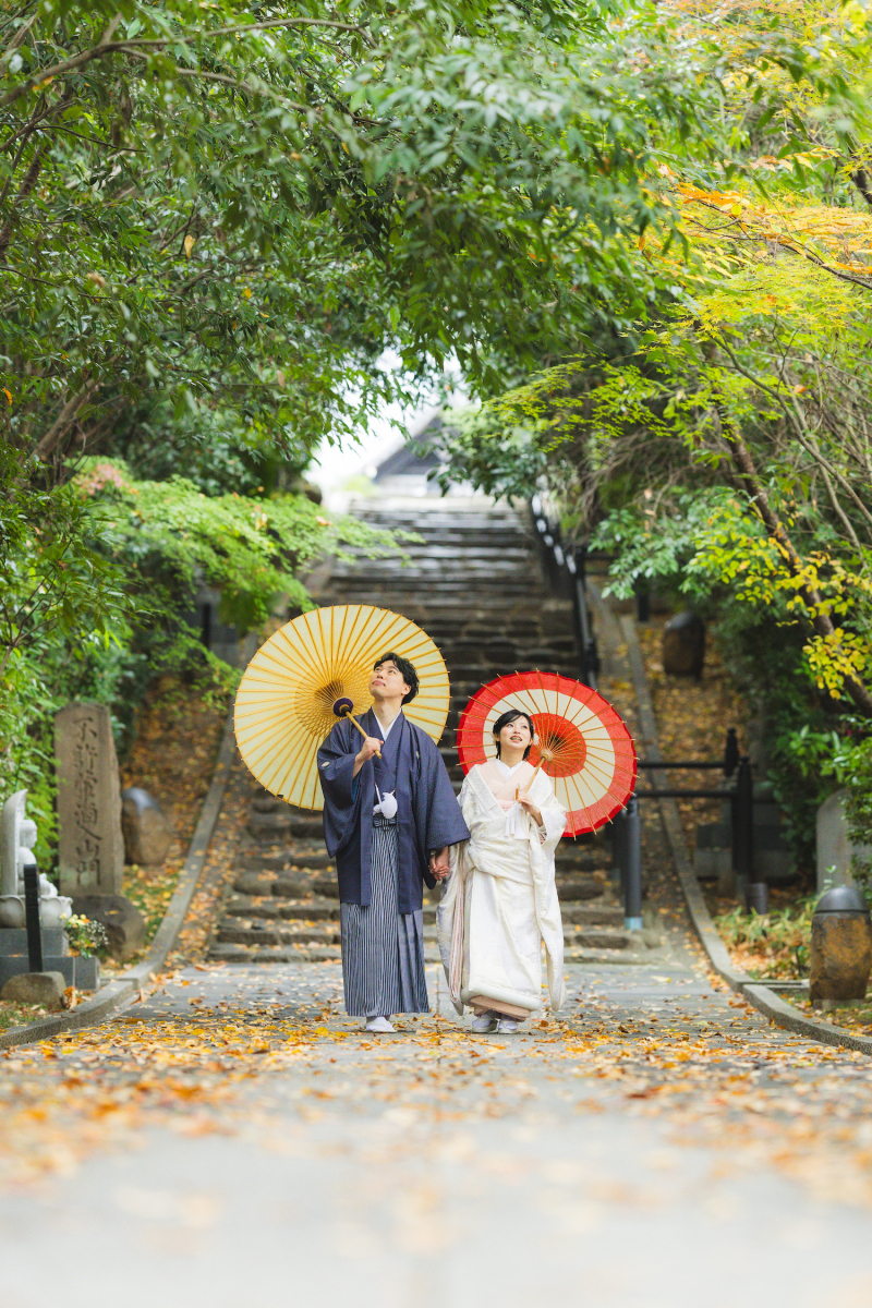 輪王寺の参道の緑のトンネルも綺麗ですよ！