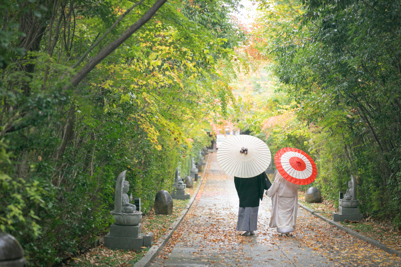 和洋　ロケーション・スタジオ撮影　