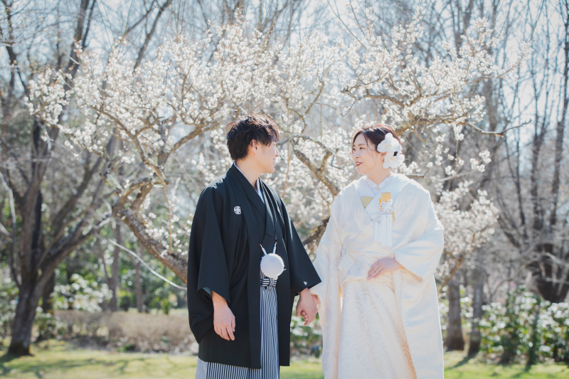 梅の花の小道を歩く