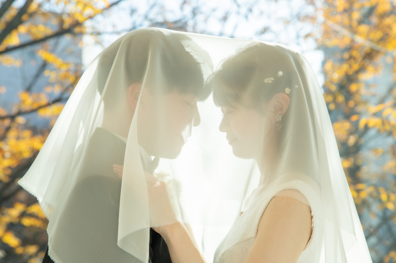 ベールに包まれて