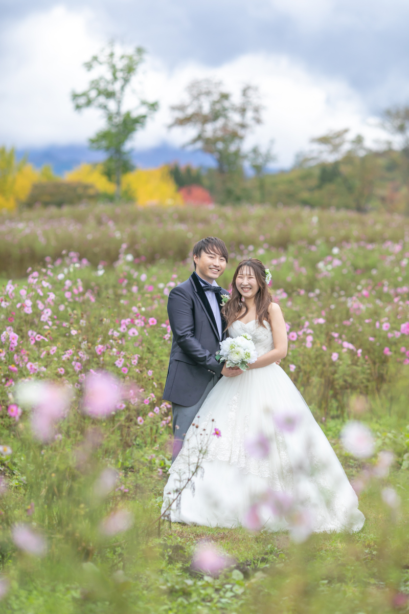 コスモスの背景には紅葉が！