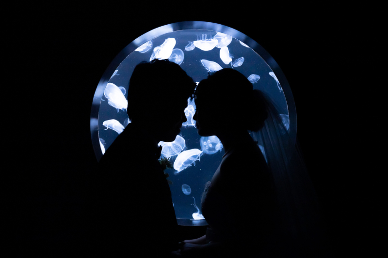 シルエット風も