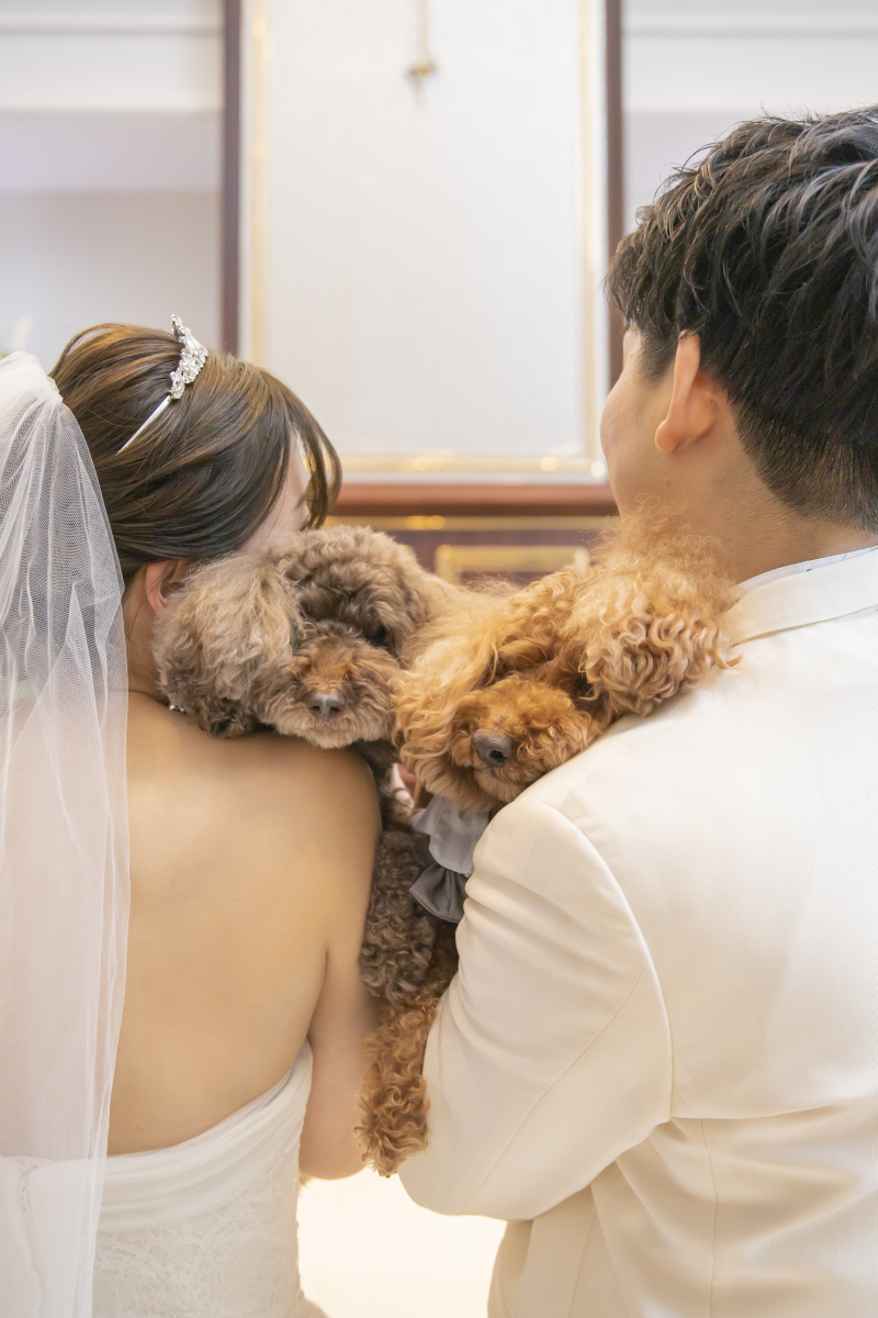 間からお顔を出して♪