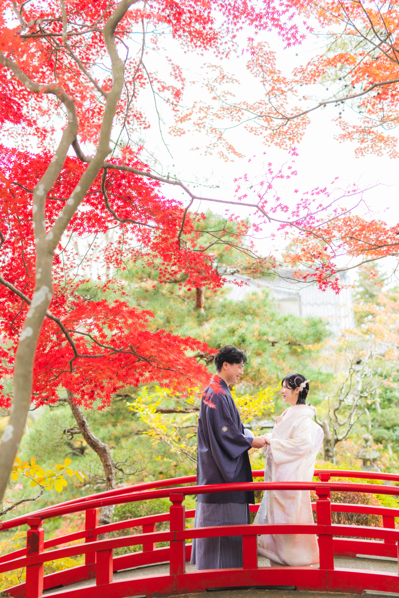 紅葉の時期にしかみられないコラボレーション