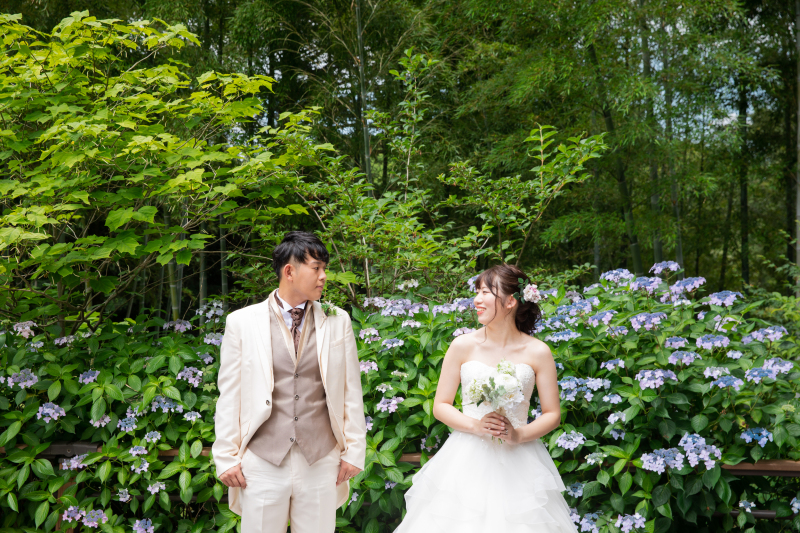 野草園での撮影がスタート