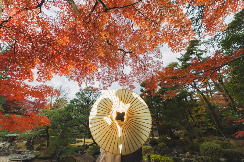 和傘を使ったシルエット写真はロマチックな印象に！