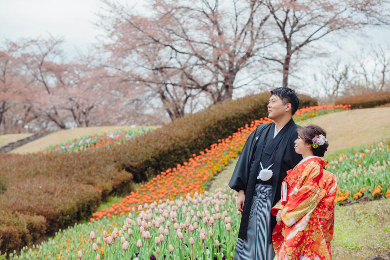 色鮮やかな一枚！