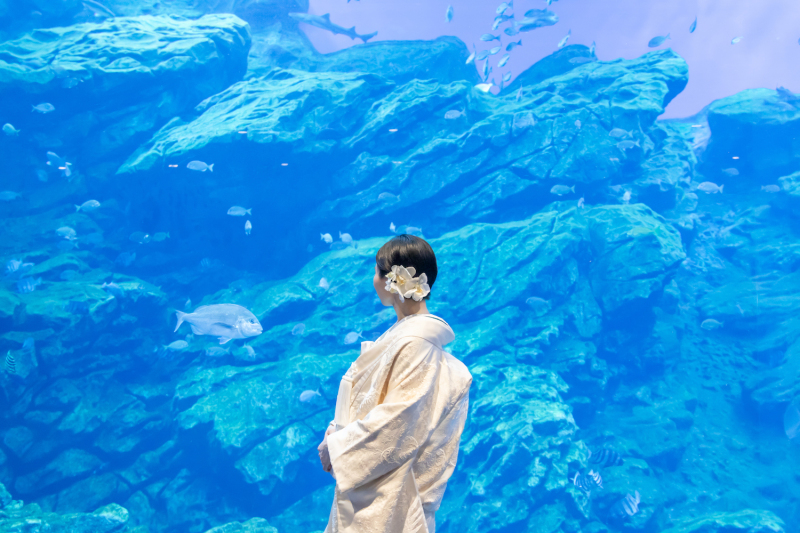 ご新婦様ソロショット!