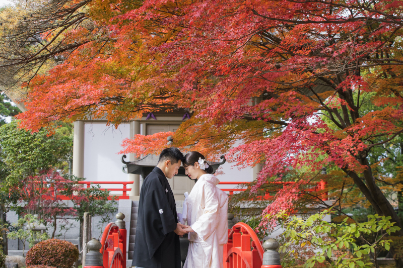 紅葉と近い距離で