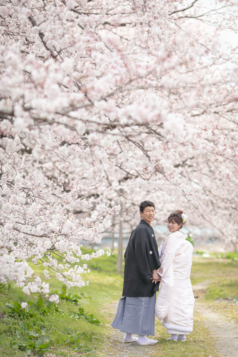 桜に囲まれて・・・